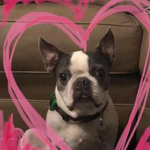 Meet your Posher, Danelle